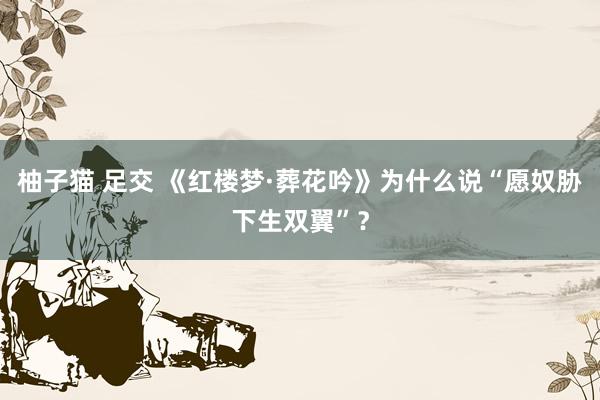 柚子猫 足交 《红楼梦·葬花吟》为什么说“愿奴胁下生双翼”？