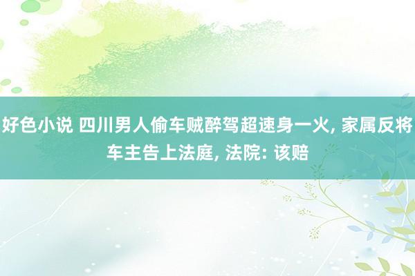 好色小说 四川男人偷车贼醉驾超速身一火， 家属反将车主告上法庭， 法院: 该赔