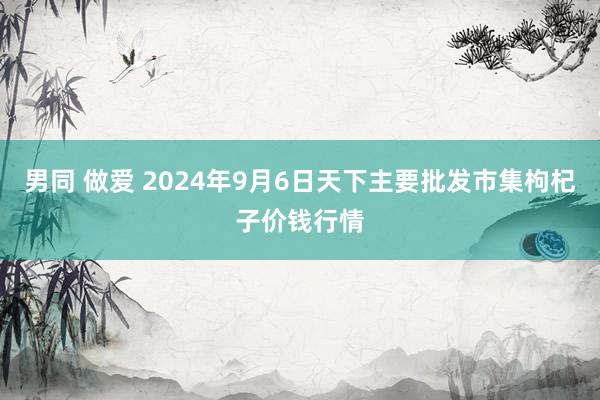 男同 做爱 2024年9月6日天下主要批发市集枸杞子价钱行情