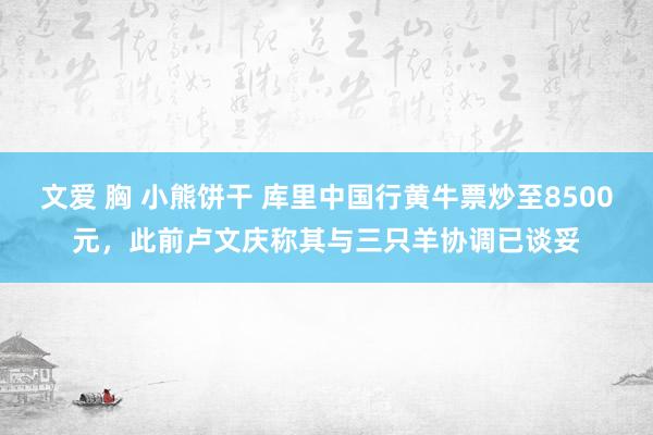 文爱 胸 小熊饼干 库里中国行黄牛票炒至8500元，此前卢文庆称其与三只羊协调已谈妥