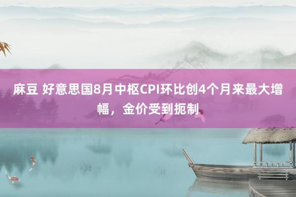 麻豆 好意思国8月中枢CPI环比创4个月来最大增幅，金价受到扼制