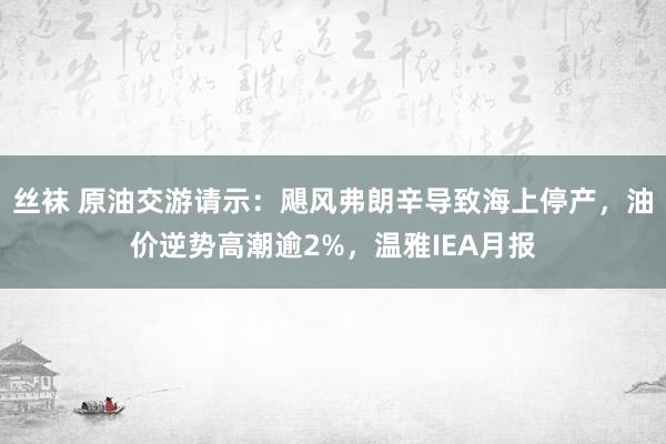 丝袜 原油交游请示：飓风弗朗辛导致海上停产，油价逆势高潮逾2%，温雅IEA月报