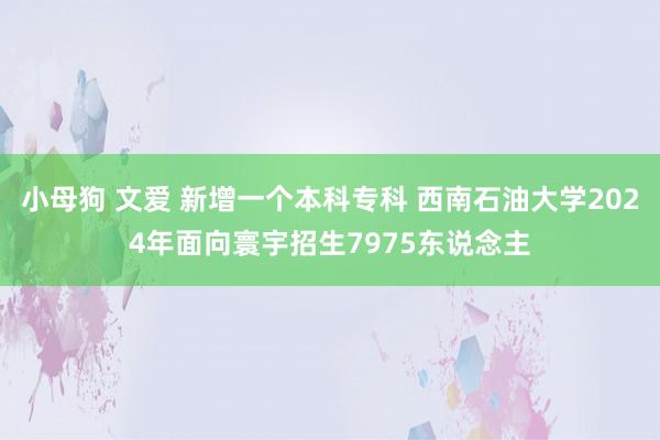 小母狗 文爱 新增一个本科专科 西南石油大学2024年面向寰宇招生7975东说念主