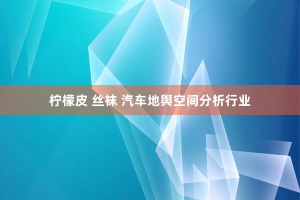 柠檬皮 丝袜 汽车地舆空间分析行业