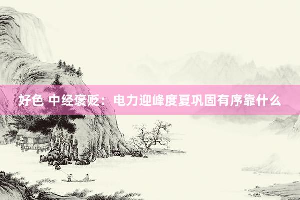 好色 中经褒贬：电力迎峰度夏巩固有序靠什么