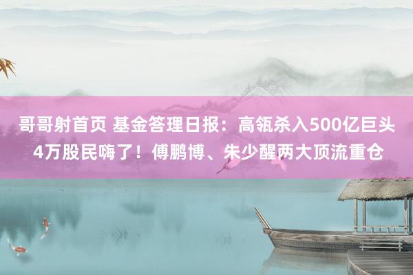 哥哥射首页 基金答理日报：高瓴杀入500亿巨头 4万股民嗨了！傅鹏博、朱少醒两大顶流重仓