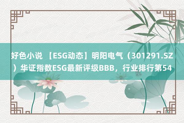 好色小说 【ESG动态】明阳电气（301291.SZ）华证指数ESG最新评级BBB，行业排行第54