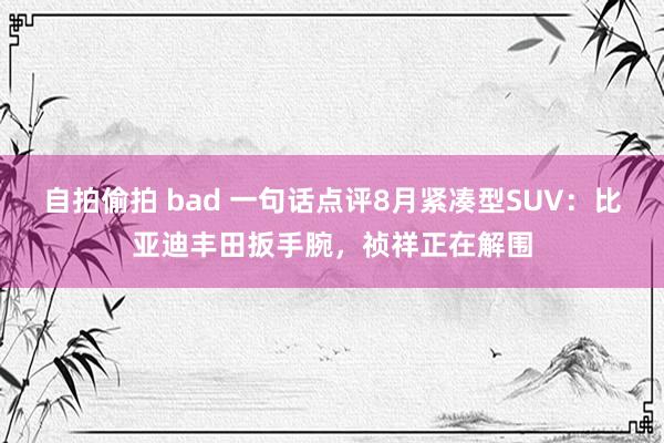 自拍偷拍 bad 一句话点评8月紧凑型SUV：比亚迪丰田扳手腕，祯祥正在解围