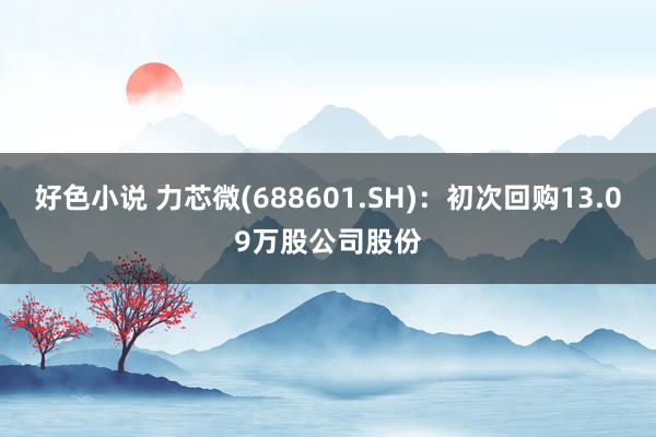 好色小说 力芯微(688601.SH)：初次回购13.09万股公司股份