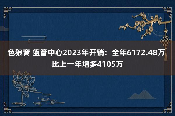 色狼窝 篮管中心2023年开销：全年6172.48万 比上一年增多4105万