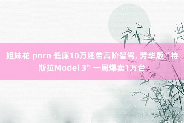 姐妹花 porn 低廉10万还带高阶智驾， 芳华版“特斯拉Model 3”一周爆卖1万台