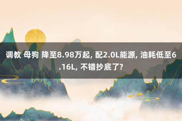 调教 母狗 降至8.98万起， 配2.0L能源， 油耗低至6.16L， 不错抄底了?