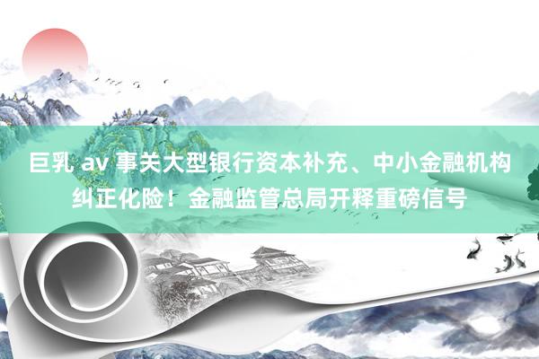 巨乳 av 事关大型银行资本补充、中小金融机构纠正化险！金融监管总局开释重磅信号