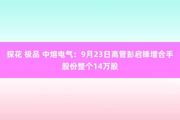 探花 极品 中熔电气：9月23日高管彭启锋增合手股份整个14万股