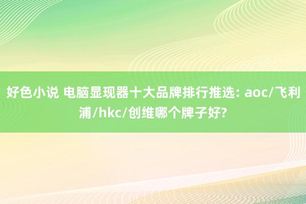 好色小说 电脑显现器十大品牌排行推选: aoc/飞利浦/hkc/创维哪个牌子好?