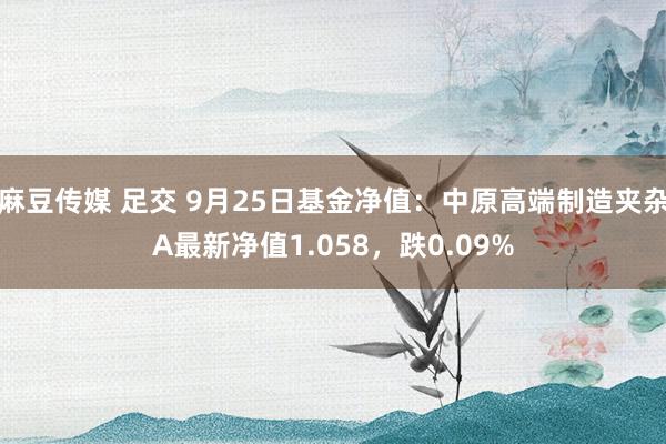 麻豆传媒 足交 9月25日基金净值：中原高端制造夹杂A最新净值1.058，跌0.09%