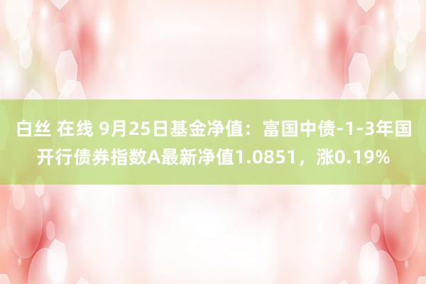 白丝 在线 9月25日基金净值：富国中债-1-3年国开行债券指数A最新净值1.0851，涨0.19%