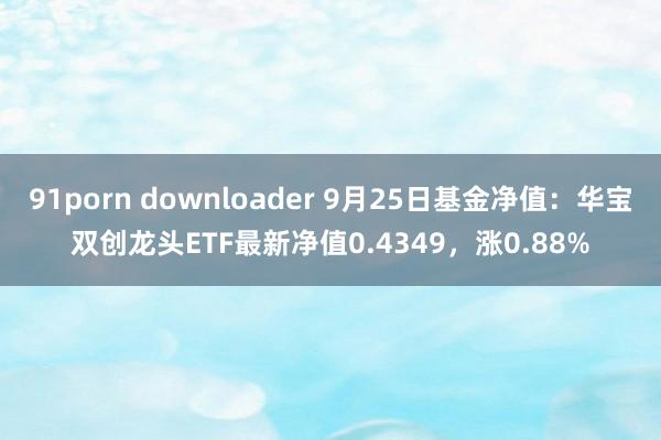 91porn downloader 9月25日基金净值：华宝双创龙头ETF最新净值0.4349，涨0.88%