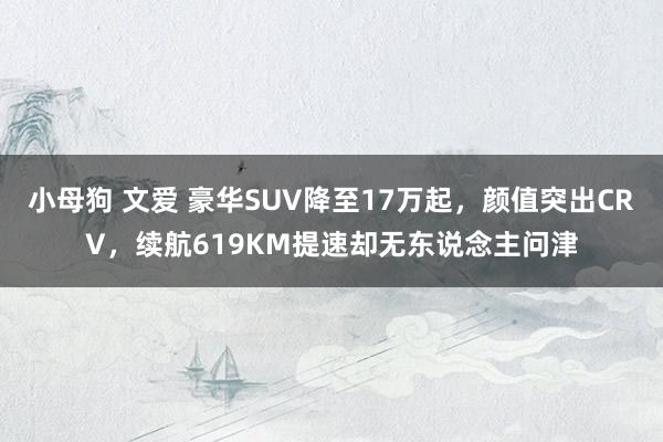 小母狗 文爱 豪华SUV降至17万起，颜值突出CRV，续航619KM提速却无东说念主问津