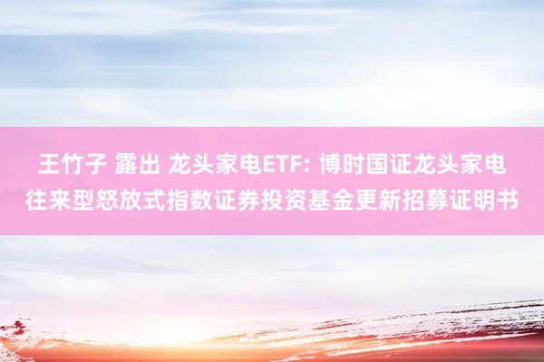 王竹子 露出 龙头家电ETF: 博时国证龙头家电往来型怒放式指数证券投资基金更新招募证明书