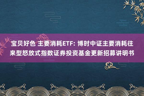 宝贝好色 主要消耗ETF: 博时中证主要消耗往来型怒放式指数证券投资基金更新招募讲明书