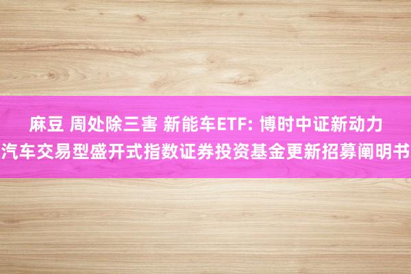 麻豆 周处除三害 新能车ETF: 博时中证新动力汽车交易型盛开式指数证券投资基金更新招募阐明书