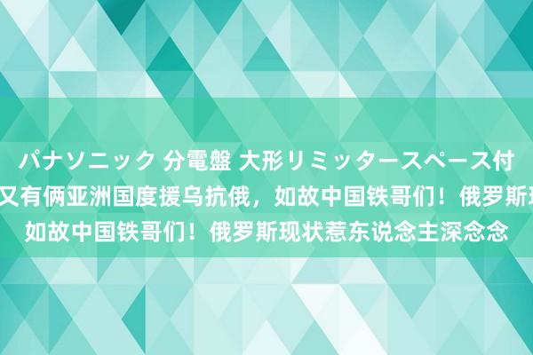 パナソニック 分電盤 大形リミッタースペース付 露出・半埋込両用形 又有俩亚洲国度援乌抗俄，如故中国铁哥们！俄罗斯现状惹东说念主深念念