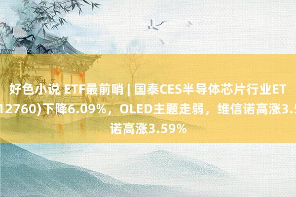 好色小说 ETF最前哨 | 国泰CES半导体芯片行业ETF(512760)下降6.09%，OLED主题走弱，维信诺高涨3.59%