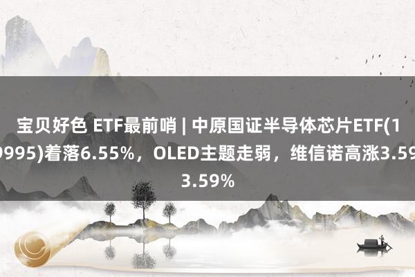 宝贝好色 ETF最前哨 | 中原国证半导体芯片ETF(159995)着落6.55%，OLED主题走弱，维信诺高涨3.59%