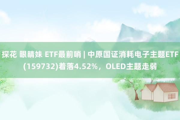 探花 眼睛妹 ETF最前哨 | 中原国证消耗电子主题ETF(159732)着落4.52%，OLED主题走弱