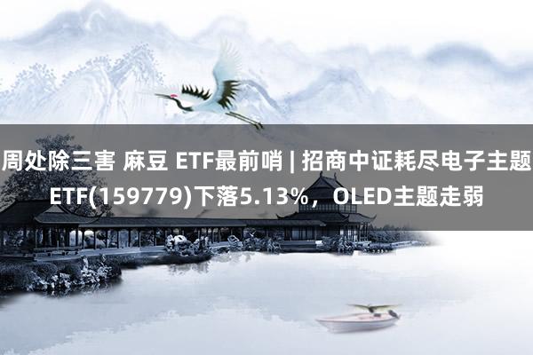 周处除三害 麻豆 ETF最前哨 | 招商中证耗尽电子主题ETF(159779)下落5.13%，OLED主题走弱