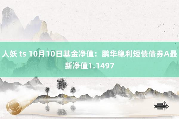 人妖 ts 10月10日基金净值：鹏华稳利短债债券A最新净值1.1497