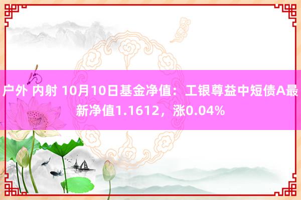 户外 内射 10月10日基金净值：工银尊益中短债A最新净值1.1612，涨0.04%