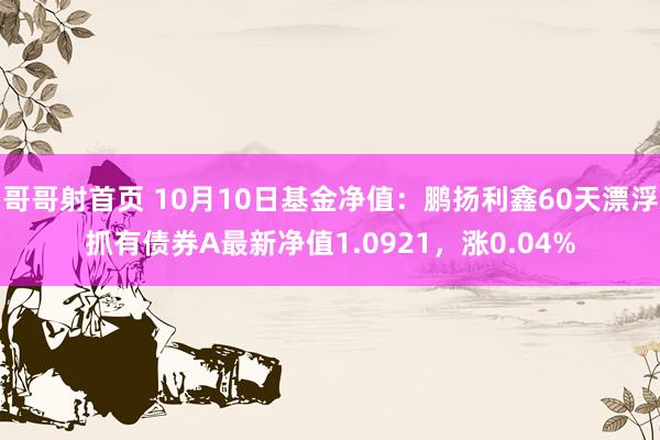 哥哥射首页 10月10日基金净值：鹏扬利鑫60天漂浮抓有债券A最新净值1.0921，涨0.04%