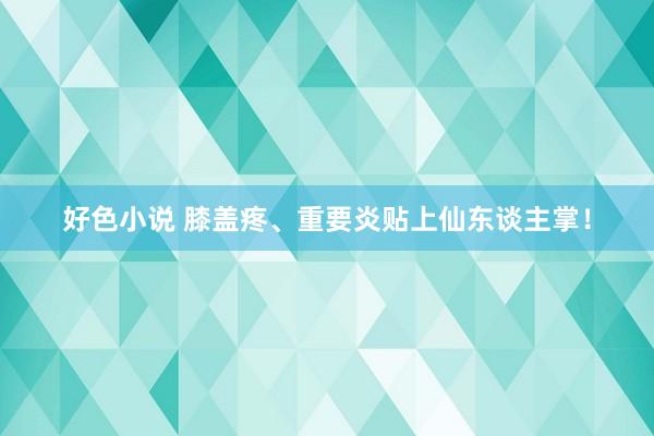 好色小说 膝盖疼、重要炎贴上仙东谈主掌！