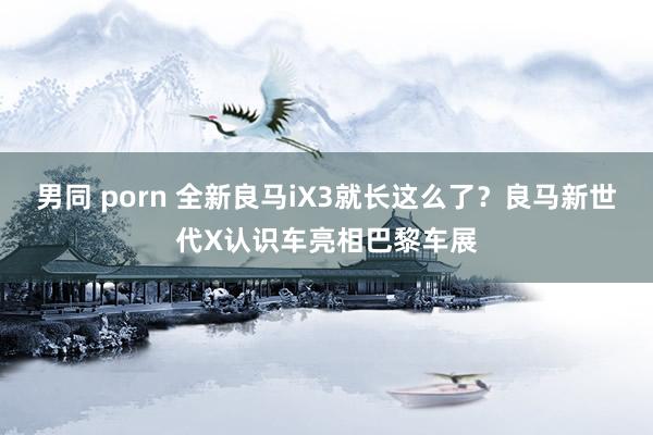 男同 porn 全新良马iX3就长这么了？良马新世代X认识车亮相巴黎车展