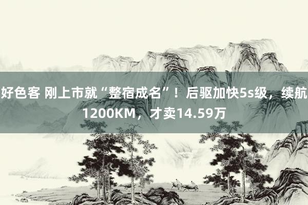 好色客 刚上市就“整宿成名”！后驱加快5s级，续航1200KM，才卖14.59万