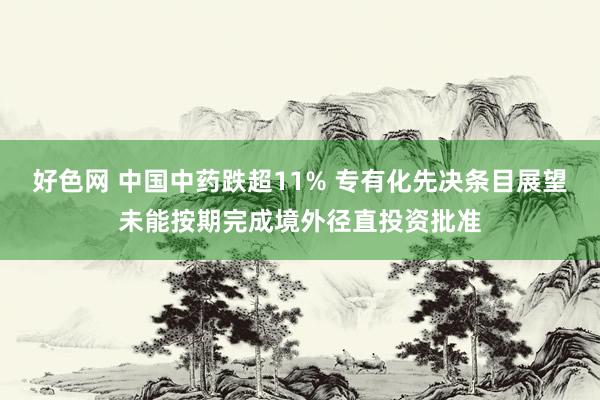 好色网 中国中药跌超11% 专有化先决条目展望未能按期完成境外径直投资批准