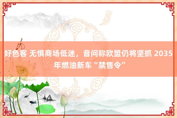 好色客 无惧商场低迷，音问称欧盟仍将坚抓 2035 年燃油新车“禁售令”