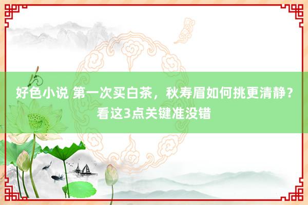 好色小说 第一次买白茶，秋寿眉如何挑更清静？看这3点关键准没错