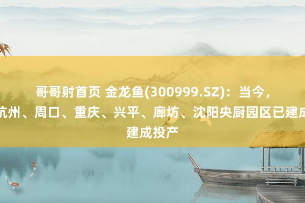 哥哥射首页 金龙鱼(300999.SZ)：当今，公司杭州、周口、重庆、兴平、廊坊、沈阳央厨园区已建成投产