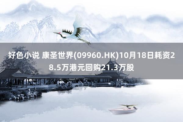 好色小说 康圣世界(09960.HK)10月18日耗资28.5万港元回购21.3万股