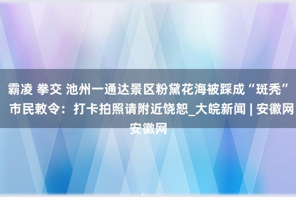 霸凌 拳交 池州一通达景区粉黛花海被踩成“斑秃”  市民敕令：打卡拍照请附近饶恕_大皖新闻 | 安徽网