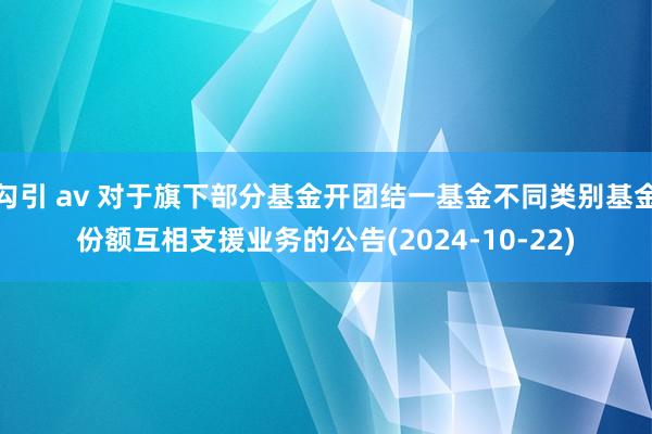 勾引 av 对于旗下部分基金开团结一基金不同类别基金份额互相支援业务的公告(2024-10-22)