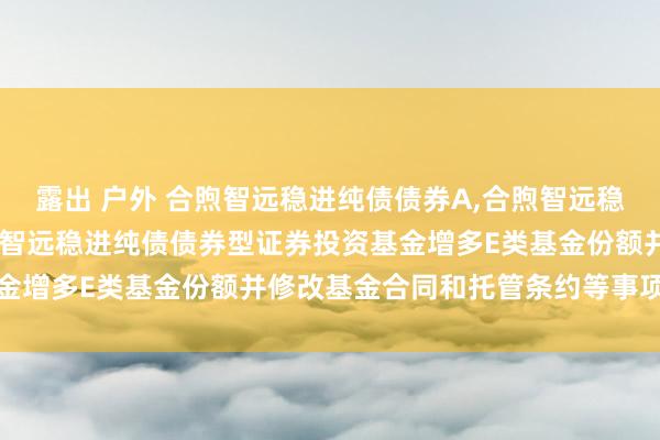 露出 户外 合煦智远稳进纯债债券A，合煦智远稳进纯债债券C: 对于合煦智远稳进纯债债券型证券投资基金增多E类基金份额并修改基金合同和托管条约等事项的公告