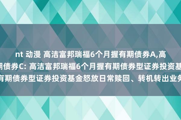 nt 动漫 高洁富邦瑞福6个月握有期债券A，高洁富邦瑞福6个月握有期债券C: 高洁富邦瑞福6个月握有期债券型证券投资基金怒放日常赎回、转机转出业务的公告