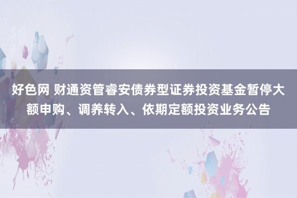 好色网 财通资管睿安债券型证券投资基金暂停大额申购、调养转入、依期定额投资业务公告