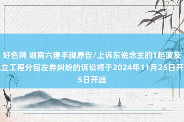 好色网 湖南六建手脚原告/上诉东说念主的1起波及成立工程分包左券纠纷的诉讼将于2024年11月25日开庭