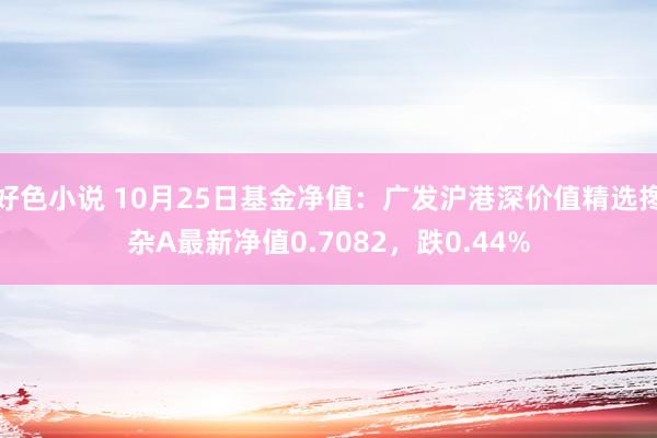 好色小说 10月25日基金净值：广发沪港深价值精选搀杂A最新净值0.7082，跌0.44%