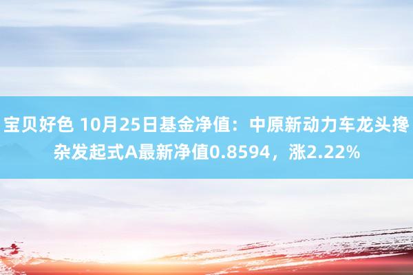 宝贝好色 10月25日基金净值：中原新动力车龙头搀杂发起式A最新净值0.8594，涨2.22%